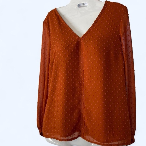 J.Crew Women's V-Neck Rust Layered part Sheer Polka Dot Blouse S - Picture 2 of 4